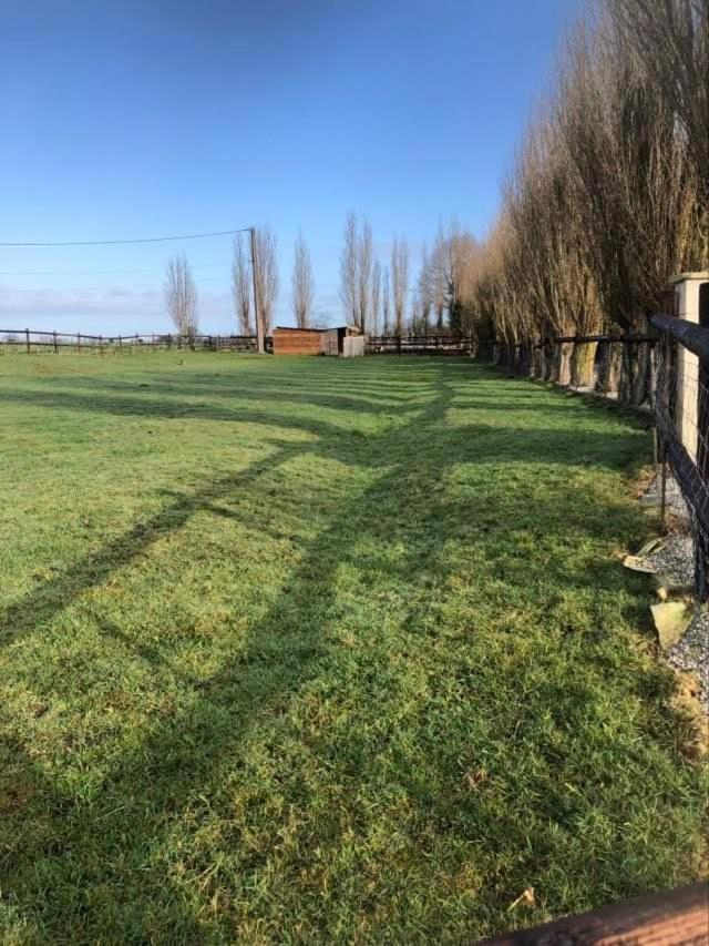 Domaine "Les Bois Flottes" Dans Maison De Charme Au Bord De Mer Et Proche De Cabourg Merville-Franceville-Plage Eksteriør billede